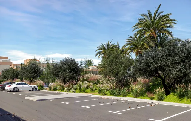 AIA Villas - vue oasis du domaine