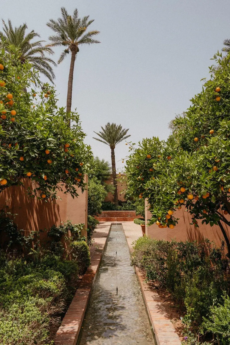 Oasis image 2